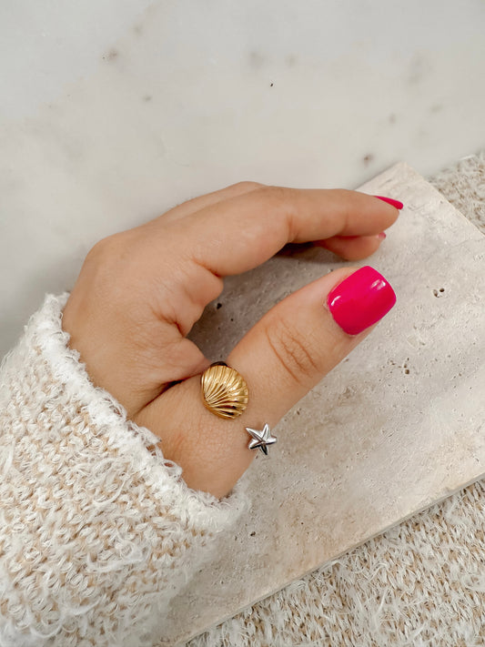 Estrella de mar y concha dos tonos