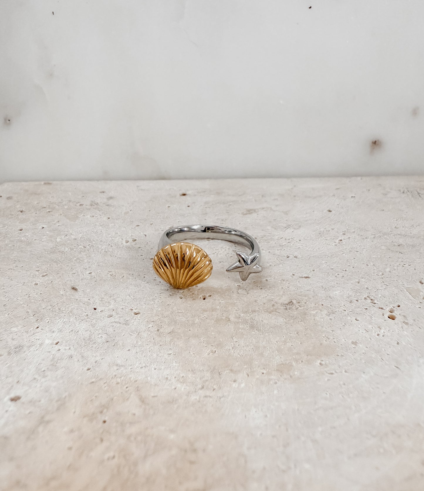 Estrella de mar y concha dos tonos