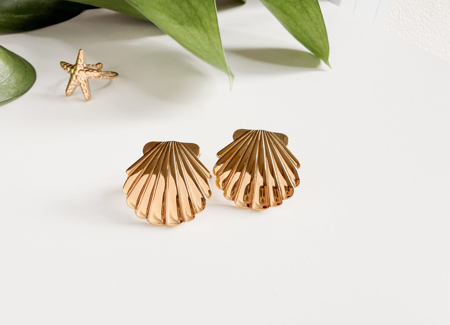 Aretes de concha de mar de acero inoxidable