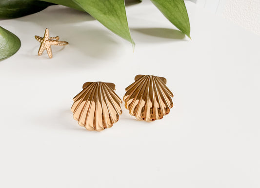 Aretes de concha de mar de acero inoxidable