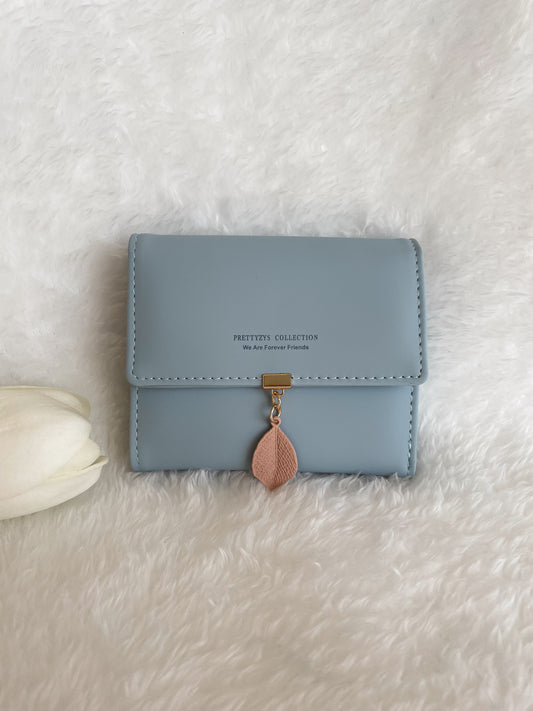 Blue pretty wallet